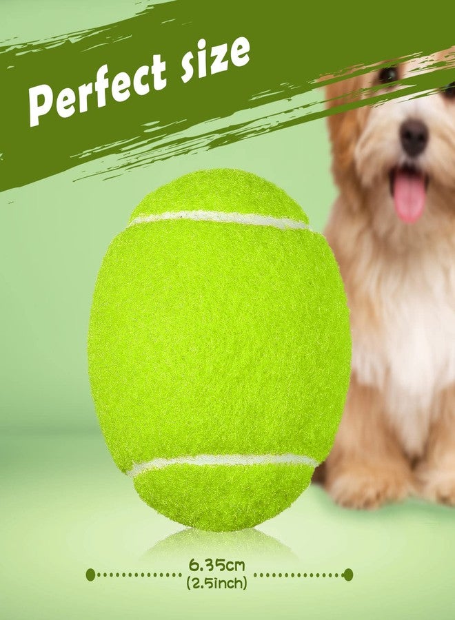Yunsailing Pack of 20 Tennis Balls for Dogs 2.5 Inch PET Dog Ball for Large, Medium and Small Dogs Colored Interactive Puppy Tennis Doggy Toy with Bag Training Play Exercise, 5 Colors - Image 2